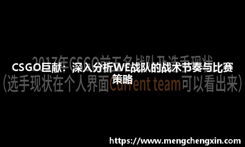 CSGO巨献：深入分析WE战队的战术节奏与比赛策略
